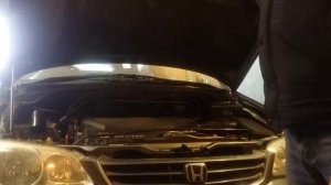 Газовая опора капота Honda Odyssey