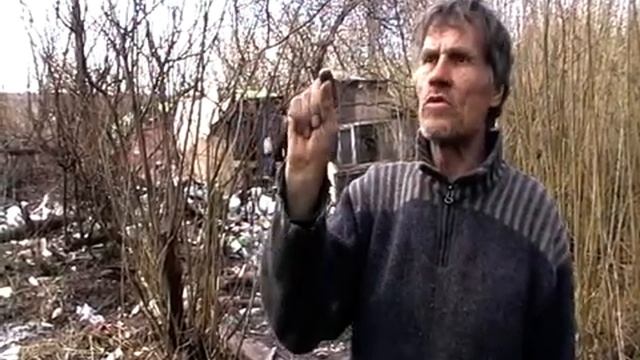 Всё о клещах!
