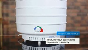 Сушилка для овощей и фруктов Ветерок2 2020, 6 поддонов с поддоном для пастилы