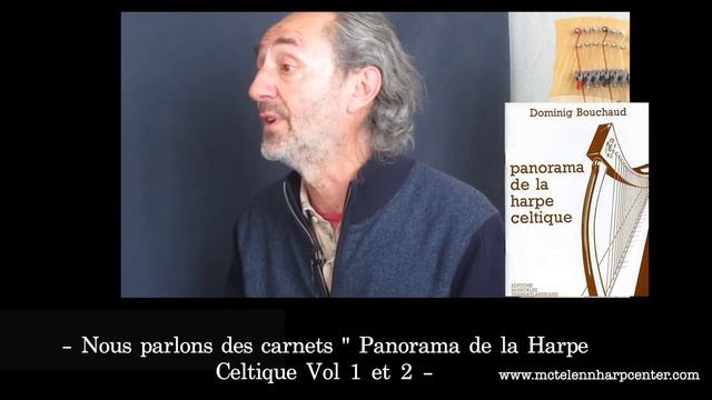 Rencontre avec Dominig Bouchaud | Apprendre La Harpe Celtique смотреть онлайн