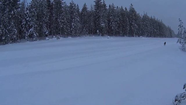 Выезд на снегоходе в избу с ночевкой. Охота на лыжах зимой по боровой. смотреть онлайн