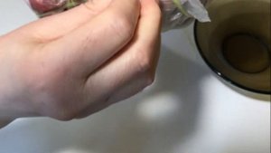 Как сварить ГРУДИНКУ ВКУСНО!