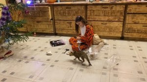 ПОДАРКИ ОТ ДЕДА МОРОЗА/ПОДАРИЛИ IPHONE 11 PRO!!!