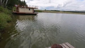 #ЛыткинскийПруд #ШушенскийРайон #Рыбалка  Пруд "Лыткинский"  Шушенского района часть 1.