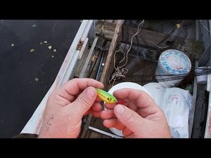 КОРОТКАЯ РЫБАЛКА \ ПРОВЕРКА ДОНБАССКИХ ПРИМАНОК