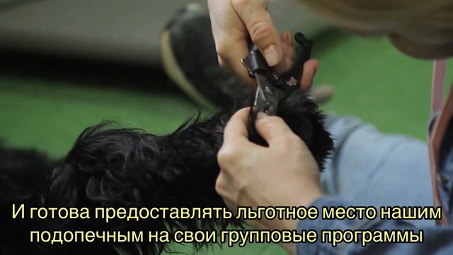 Занятия с кинологом