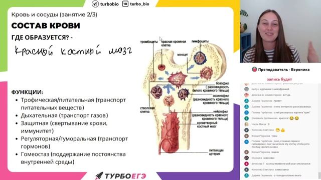 Сосуды и кровь смотреть онлайн