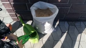 Опилки вместо перлита и вермикулита