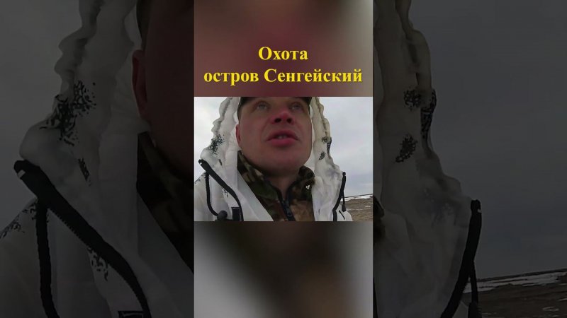 Охота на острове Сенгейский 7 #охотанагуся #охотавроссии