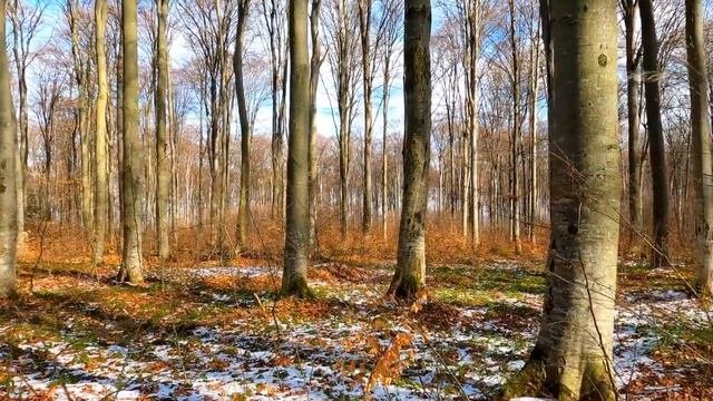 ?Загадочная встреча с необъяснимым, которая повергла в шок старого охотника!