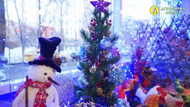 МИКРОЗЕЛЕНЬ. Выращивание микрозелени из семян. Репортаж из магазина в Москве