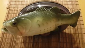 Экстремальная рыбалка, (песня веселого карпа ?)