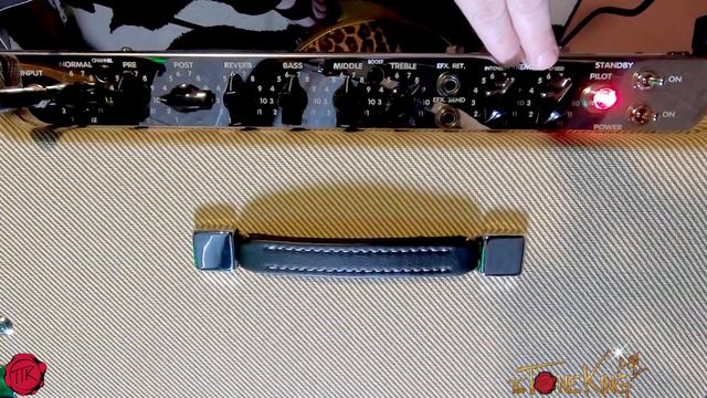 CLEAN to MEAN - A Throaty 15" All Tube Combo Amp - Peavey Delta Blues 115 Demo & Review смотреть онлайн