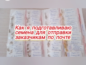 Как я подготавливаю семена для отправки заказчикам по почте