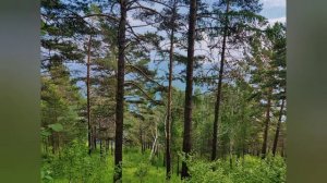 Байкальская тропа.webm