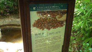 Китай Хайнань Санья 2018 / Горячие источники "Чжуцзян Наньтянь" /6 серия