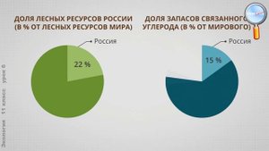 Экология 11 класс (Урок№6 - Биологические ресурсы. Биоразнообразие.)