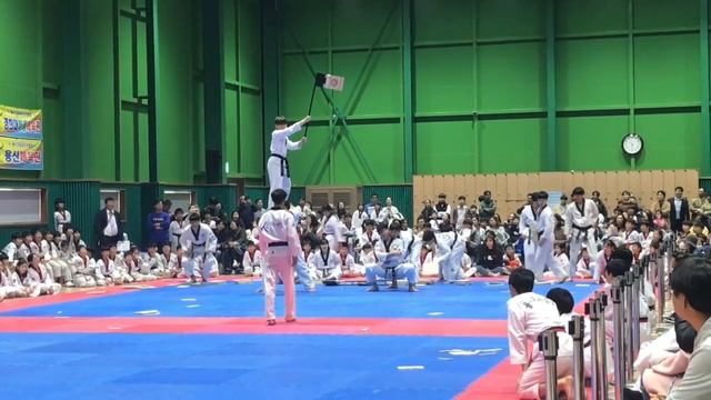 Показательные выступления по Тхэквондо 2018 смотреть онлайн