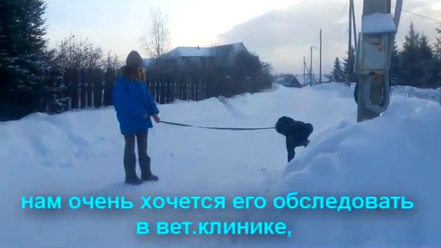 Собираемся с Банни в клинику