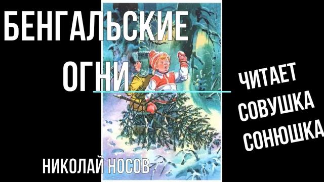 Николай Носов - Бенгальские огни
