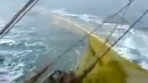 Кошельковый лов (хамса)