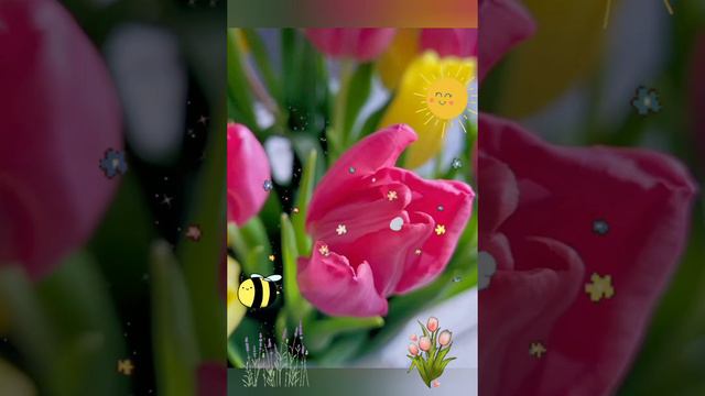 УЛЫБАЕМСЯ ВЕСНЕ!🌿🌿🌿ТЮЛЬПАНОВОЕ ПОЗДРАВЛЕНИЕ С  ДОБРЫМ УТРОМ, С НОВЫМ ДНЕМ!🌷🌷🌷👍#сдобрымутром