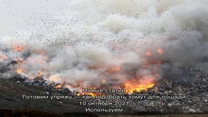 Печь для сжигания мусора на даче из бочки