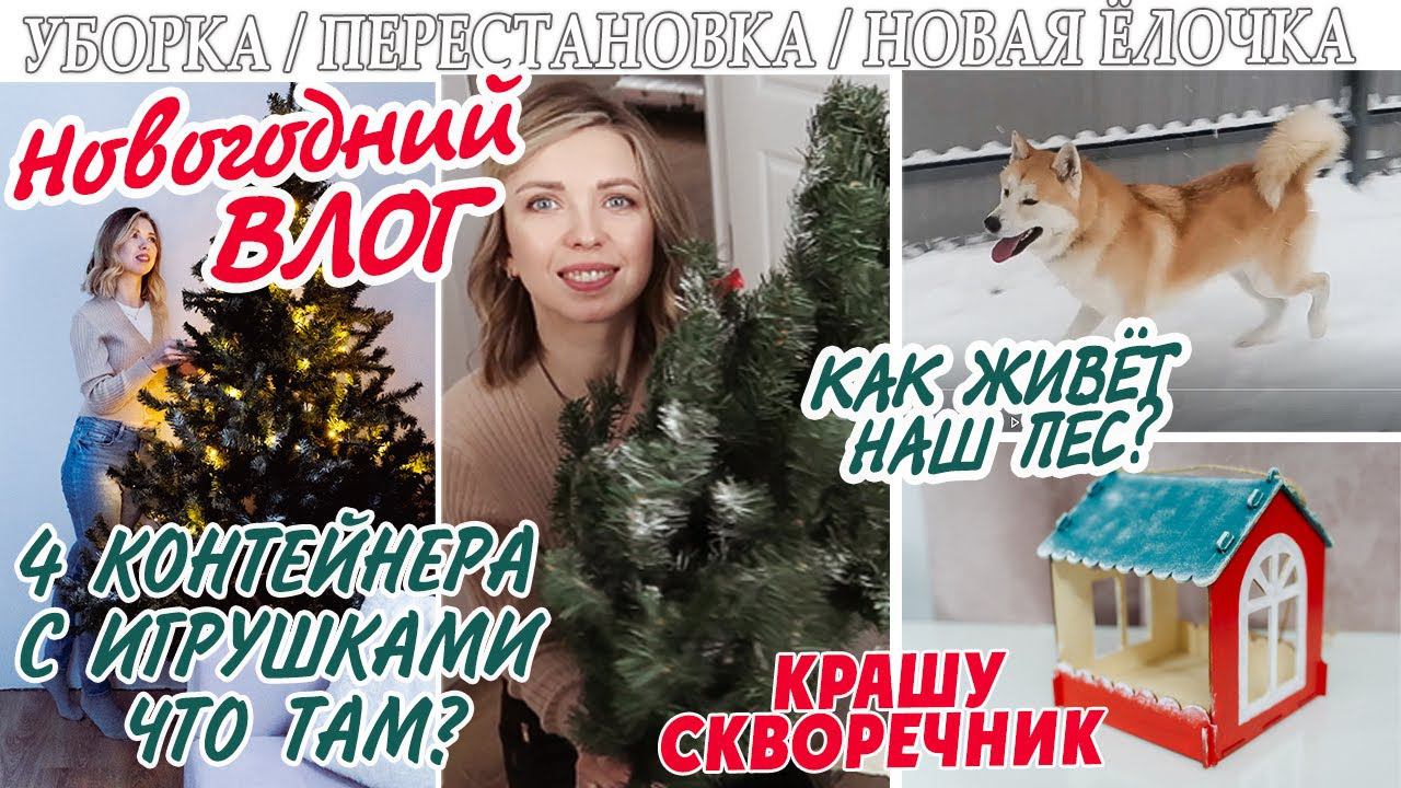 НОВОГОДНИЙ ВЛОГ УБОРКА НОВАЯ ЁЛОЧКА  ПЕРЕСТАНОВКА КРАШУ СКВОРЕЧНИК  КАК ЖИВЕТ НАШ ПЁС