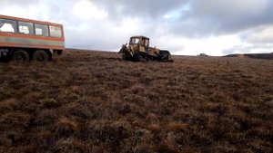 Про оленей и людей