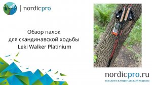 Leki Walker Platinium карбоновые фиксы с отличными характеристиками