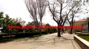 Весна в самом разгаре в Крыму..в Феодосии погода тёплая 2024