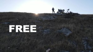 FREE