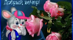 Добрый вечер.