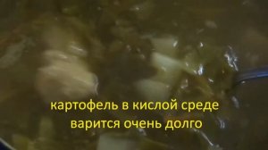 Щи из крошева (квашеных зелёных листьев поздней капусты)