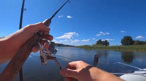 Блесна mepps в этом цвете просто косит окуня! Рыбалка на спиннинг.   Окунь на каждом забросе!