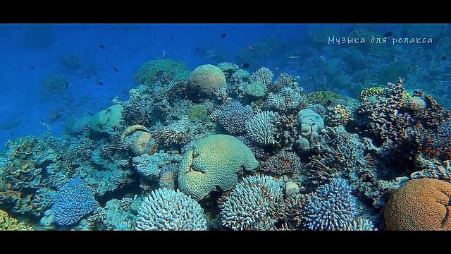 Время путешествий