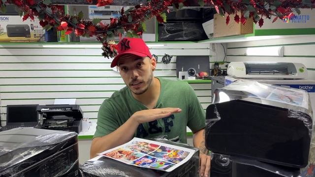 MULTIFUNCIONAL COM WI-FI 10X SEM JUROS, 1 ANO DE GARANTIA - DONATTO PRINTER SANTA EFIGÊNIA смотреть онлайн