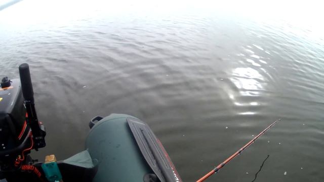 СОМ НА КВОК.ОСЕННИЙ ВЫХОД СОМА ПОПАЛ ПОД РАСДАЧУ В ТУМАН смотреть онлайн