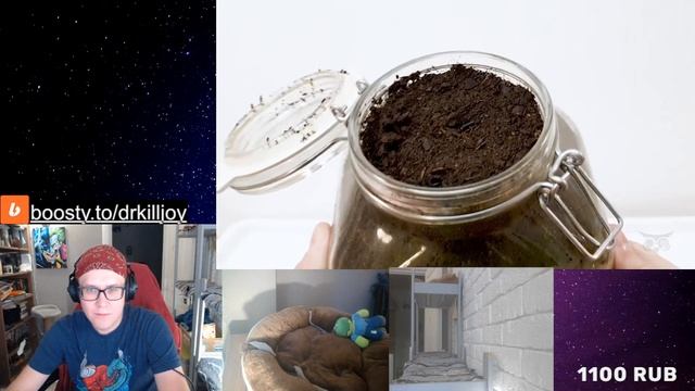 РЕАКЦИЯ НА СИГАРЕТА В ПОЧВЕ В ТЕЧЕНИИ 1 ГОДА! \\ CIGARETTE IN SOIL - 1 YEAR Time Lapse [8K] смотреть онлайн