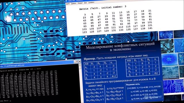 Элементы теории матриц Виды матриц смотреть онлайн
