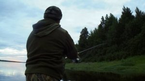 Окунь клюёт!!!