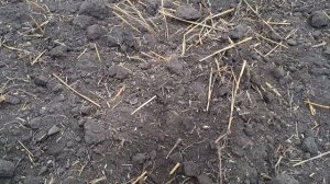 По советам с EQUINOX 700. Это поле не перестаёт удивлять.