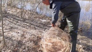Рыбалка фитилями (мережкой, вентерями). Закрытие сезона рыбалки на щуку.