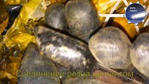 Резец РУ-6 перфоратора пневмотического ПП-36В, ПП-54В, ПП-63В, ПП-54ВБ2, ПП-63ВБ2