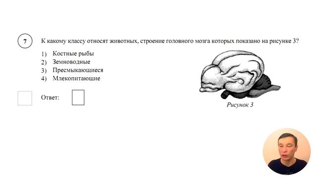 ВПР биология 8 класс 2020 смотреть онлайн
