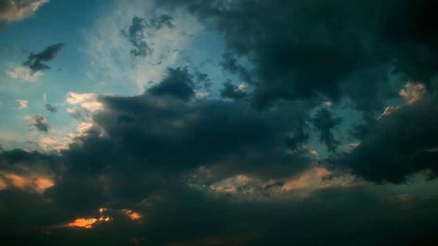 Тигрица В ЗУБАХ принесла ТИГРЕНКА местному егерю, умоляя его СПАСТИ смотреть онлайн