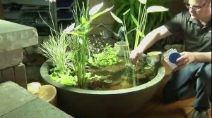 Цветущий минипруд на даче, Как создать мини водоём быстро и недорого? Сделано!!!