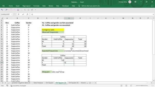 Data Analysis Using Chi Square test / Statistical Analysis using Excel