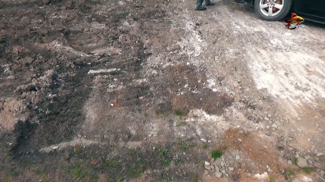 Рыбалка Зарыбление Зарыбляем водоём золотистым карасём Летняя рыбалка смотреть онлайн