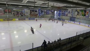 Дети играют в хоккей